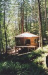 Yurt in the Woods