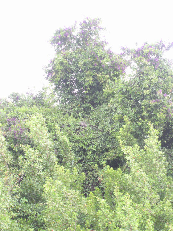 P3200058