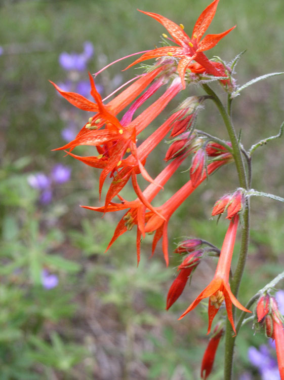 P7100118