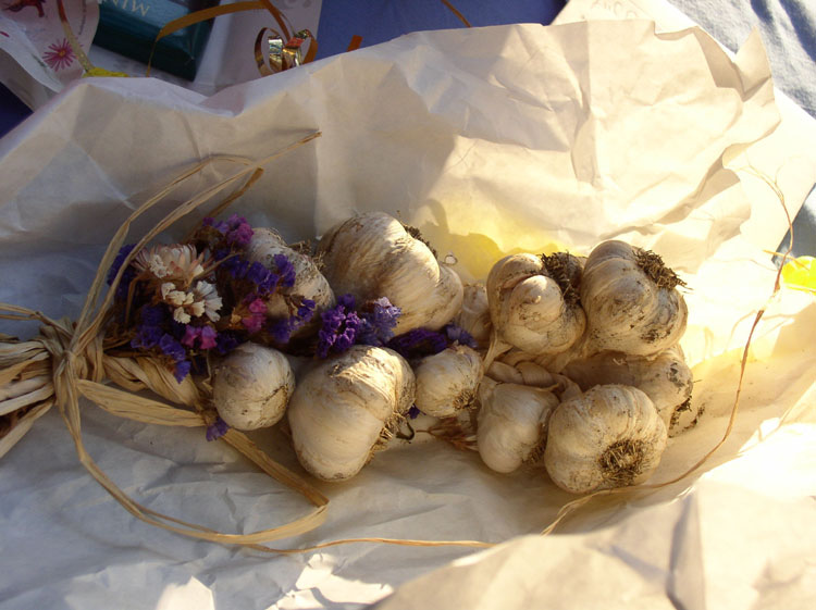 P7310035